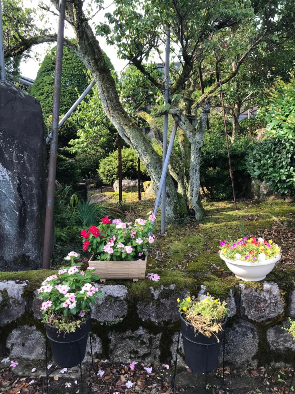 Kizuna No Ie Uozu Exterior photo