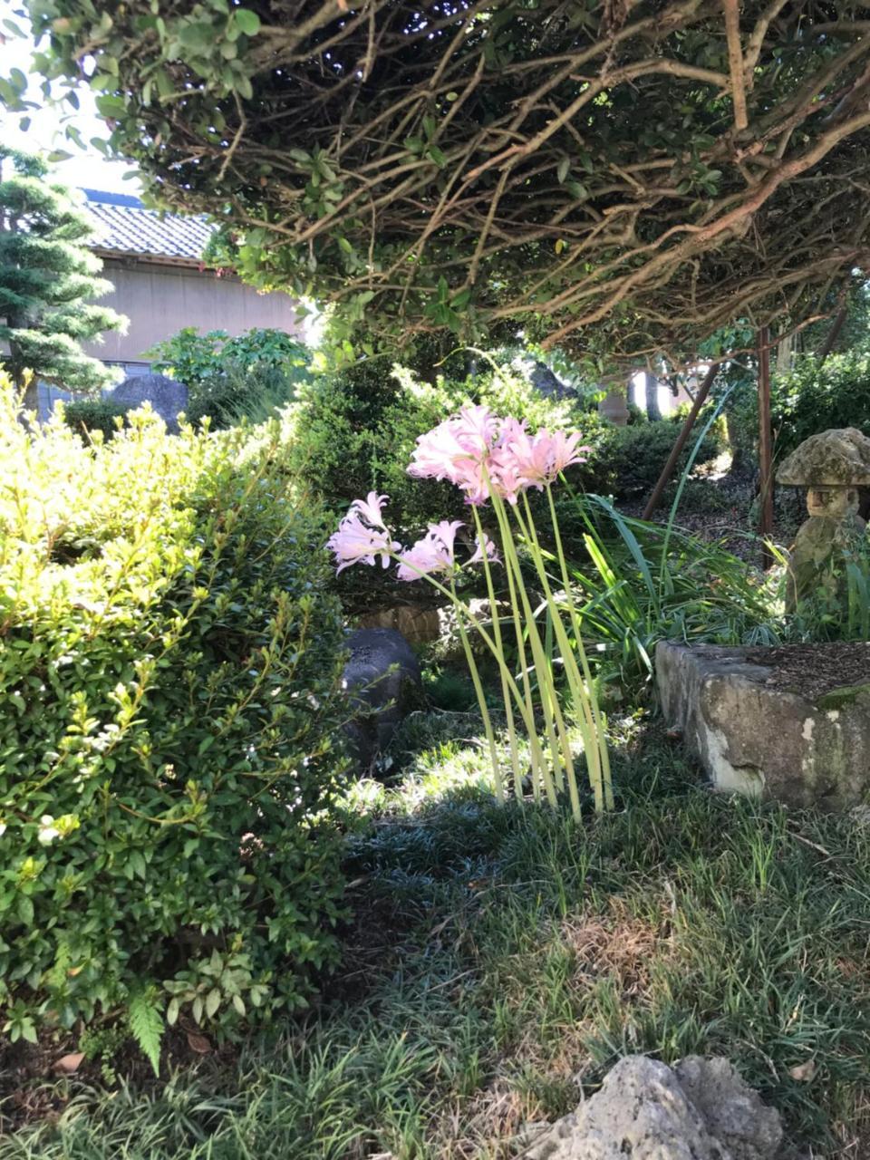Kizuna No Ie Uozu Exterior photo